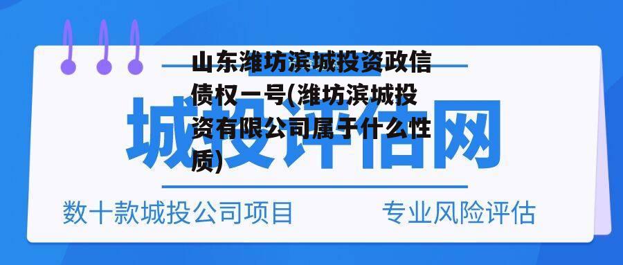 山东潍坊滨城投资政信债权一号(潍坊滨城投资有限公司属于什么性质)