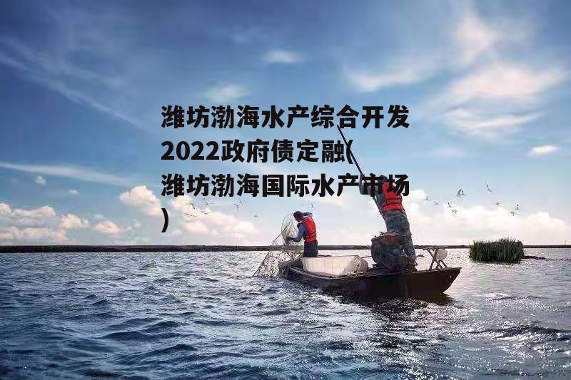 潍坊渤海水产综合开发2022政府债定融(潍坊渤海国际水产市场)