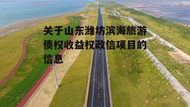 关于山东潍坊滨海旅游债权收益权政信项目的信息