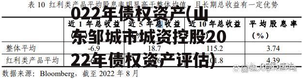 山东邹城市城资控股2022年债权资产(山东邹城市城资控股2022年债权资产评估)