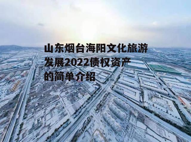 山东烟台海阳文化旅游发展2022债权资产的简单介绍