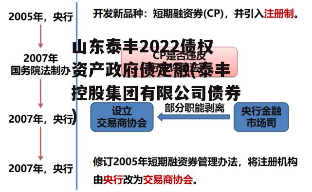 山东泰丰2022债权资产政府债定融(泰丰控股集团有限公司债券)