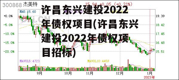 许昌东兴建投2022年债权项目(许昌东兴建投2022年债权项目招标)