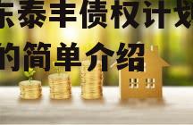 山东泰丰债权计划2023的简单介绍