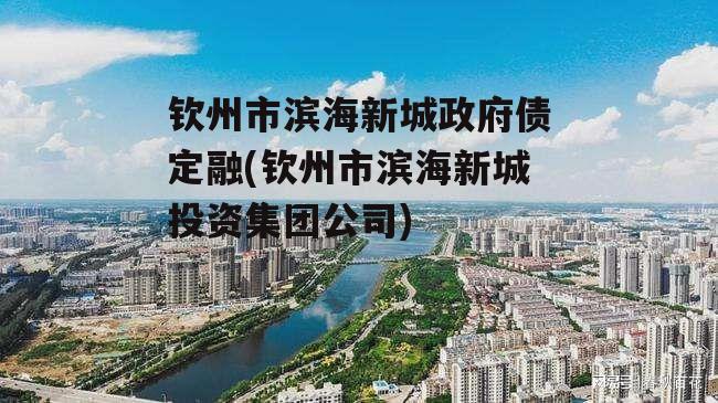 钦州市滨海新城政府债定融(钦州市滨海新城投资集团公司)