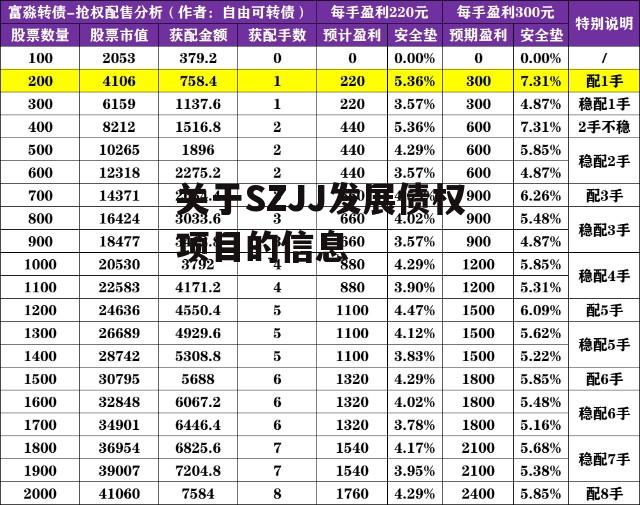 关于SZJJ发展债权项目的信息