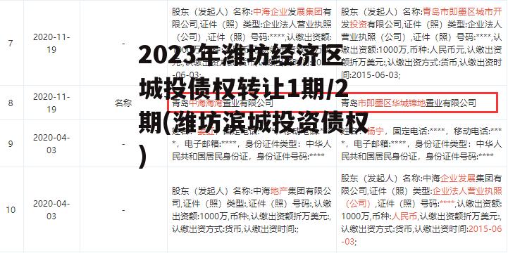 2023年潍坊经济区城投债权转让1期/2期(潍坊滨城投资债权)