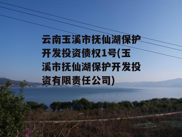 云南玉溪市抚仙湖保护开发投资债权1号(玉溪市抚仙湖保护开发投资有限责任公司)