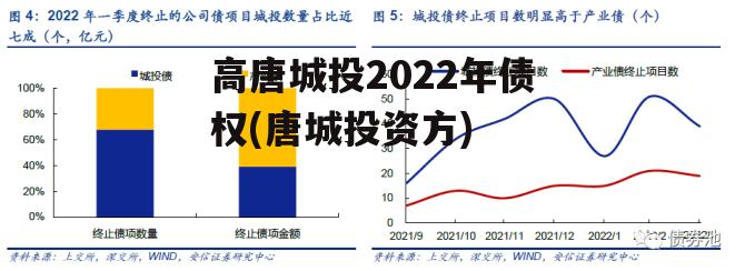 高唐城投2022年债权(唐城投资方)