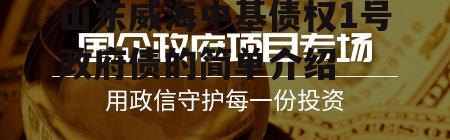 山东威海中基债权1号政府债的简单介绍