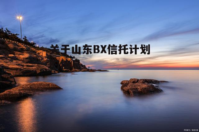 关于山东BX信托计划的信息