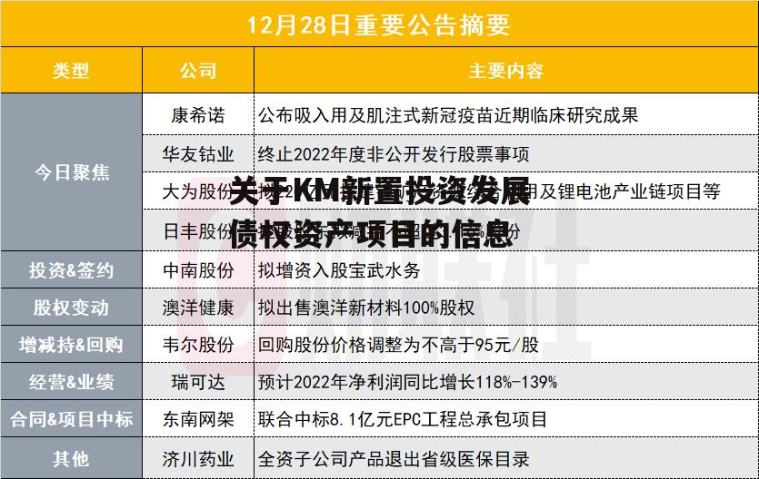 关于KM新置投资发展债权资产项目的信息