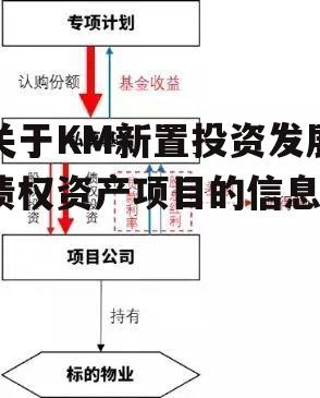 关于KM新置投资发展债权资产项目的信息