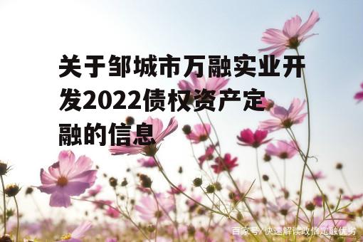 关于邹城市万融实业开发2022债权资产定融的信息