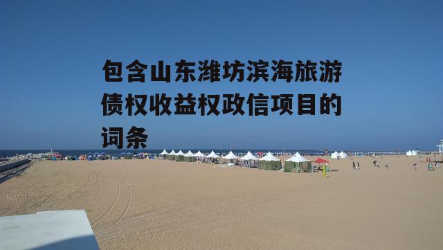 包含山东潍坊滨海旅游债权收益权政信项目的词条