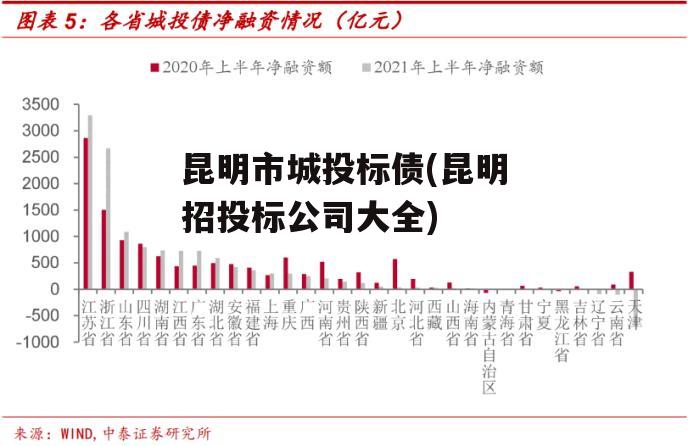 昆明市城投标债(昆明招投标公司大全)