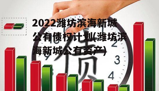 2022潍坊滨海新城公有债权计划(潍坊滨海新城公有资产)