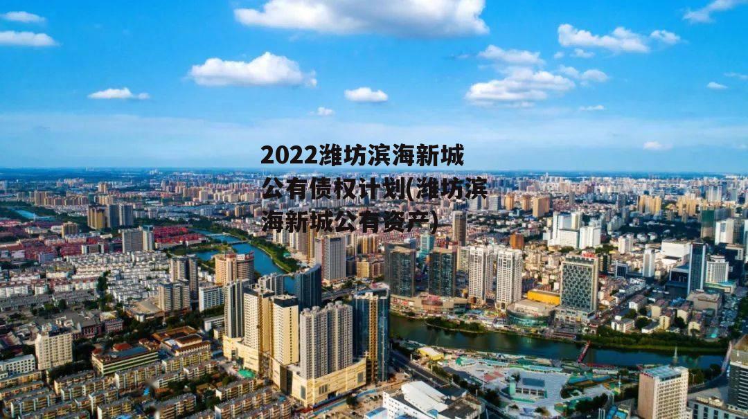 2022潍坊滨海新城公有债权计划(潍坊滨海新城公有资产)