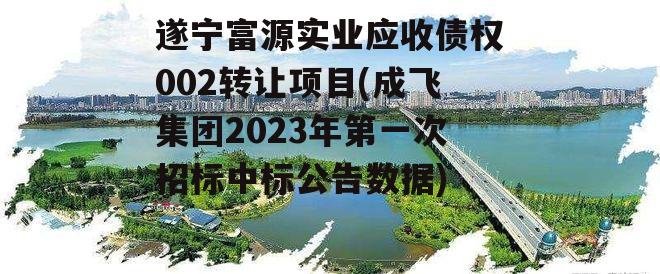 遂宁富源实业应收债权002转让项目(成飞集团2023年第一次招标中标公告数据)