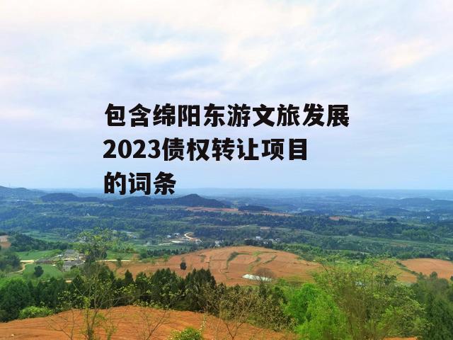 包含绵阳东游文旅发展2023债权转让项目的词条