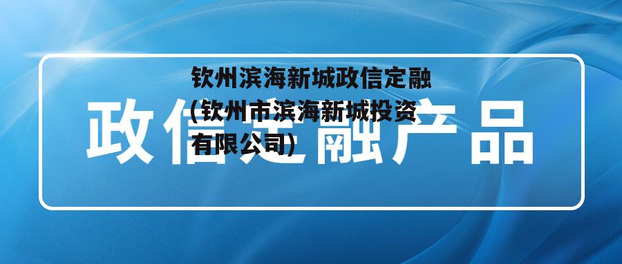 钦州滨海新城政信定融(钦州市滨海新城投资有限公司)