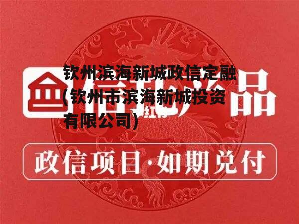 钦州滨海新城政信定融(钦州市滨海新城投资有限公司)