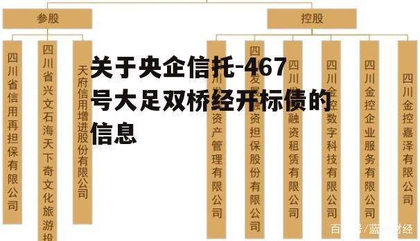 关于央企信托-467号大足双桥经开标债的信息