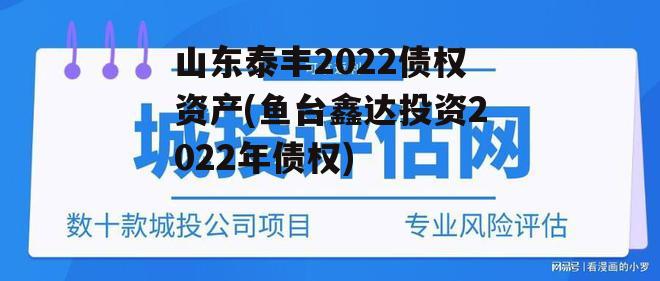 山东泰丰2022债权资产(鱼台鑫达投资2022年债权)