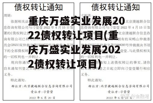 重庆万盛实业发展2022债权转让项目(重庆万盛实业发展2022债权转让项目)