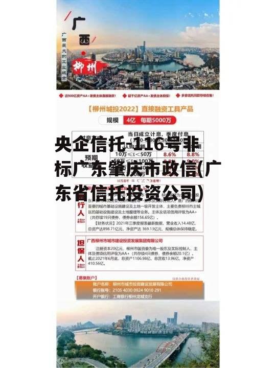 央企信托-116号非标广东肇庆市政信(广东省信托投资公司)