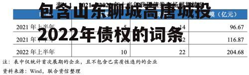 包含山东聊城高唐城投2022年债权的词条