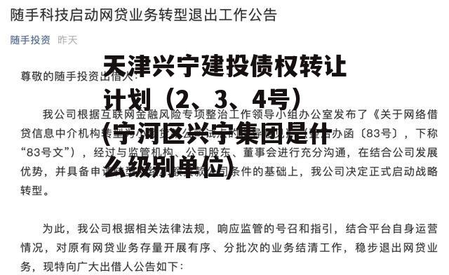 天津兴宁建投债权转让计划（2、3、4号）(宁河区兴宁集团是什么级别单位)