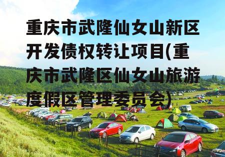 重庆市武隆仙女山新区开发债权转让项目(重庆市武隆区仙女山旅游度假区管理委员会)