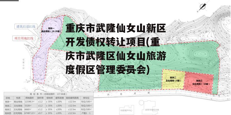 重庆市武隆仙女山新区开发债权转让项目(重庆市武隆区仙女山旅游度假区管理委员会)