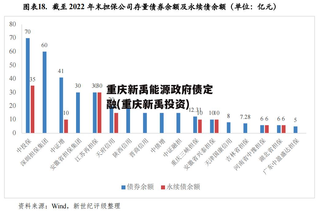 重庆新禹能源政府债定融(重庆新禹投资)