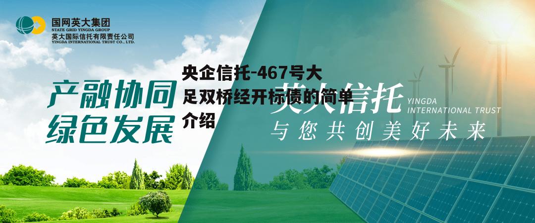 央企信托-467号大足双桥经开标债的简单介绍