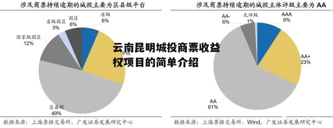 云南昆明城投商票收益权项目的简单介绍