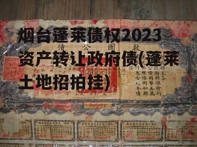 烟台蓬莱债权2023资产转让政府债(蓬莱土地招拍挂)