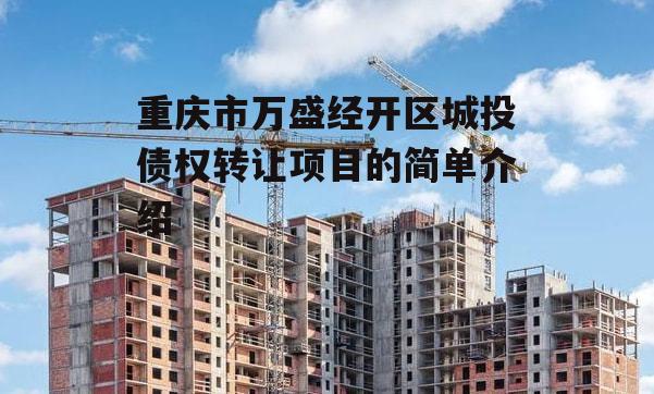 重庆市万盛经开区城投债权转让项目的简单介绍