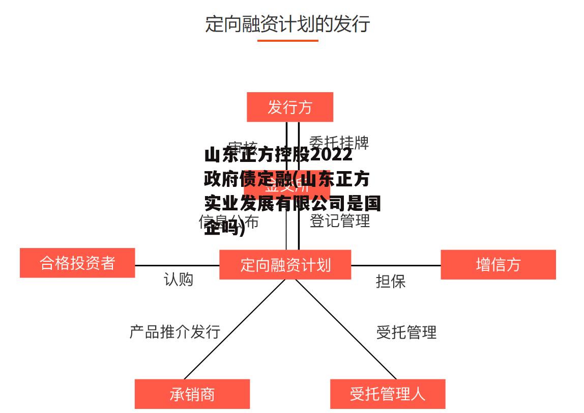 山东正方控股2022政府债定融(山东正方实业发展有限公司是国企吗)