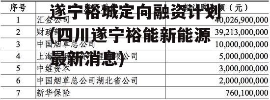 遂宁裕城定向融资计划(四川遂宁裕能新能源最新消息)