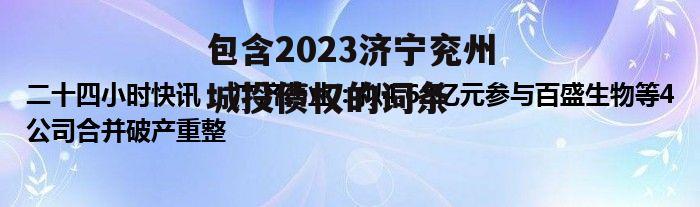 包含2023济宁兖州城投债权的词条