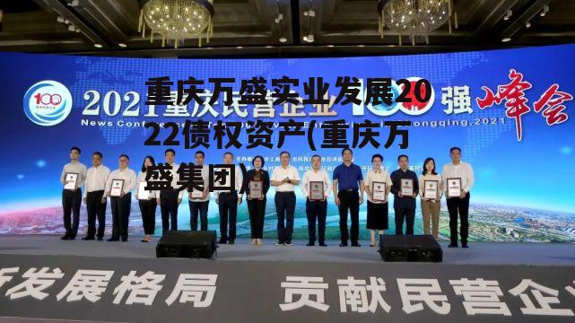 重庆万盛实业发展2022债权资产(重庆万盛集团)