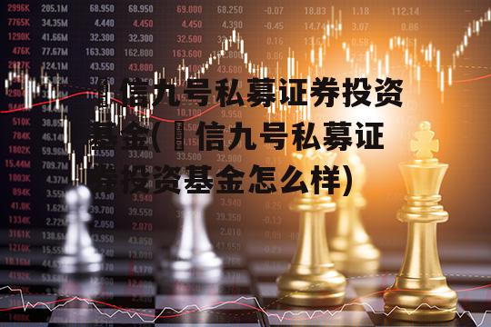 璟信九号私募证券投资基金(璟信九号私募证券投资基金怎么样)