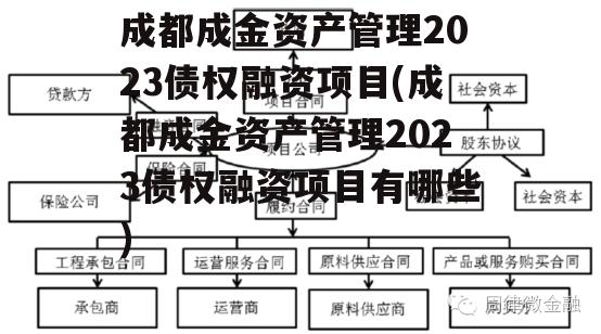 成都成金资产管理2023债权融资项目(成都成金资产管理2023债权融资项目有哪些)