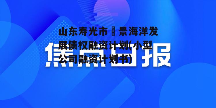 山东寿光市昇景海洋发展债权融资计划(小型公司融资计划书)