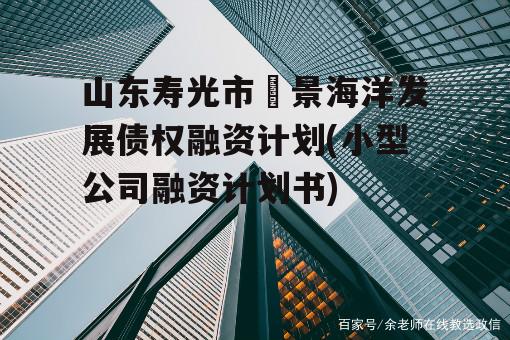 山东寿光市昇景海洋发展债权融资计划(小型公司融资计划书)