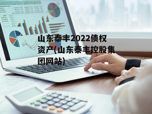 山东泰丰2022债权资产(山东泰丰控股集团网站)