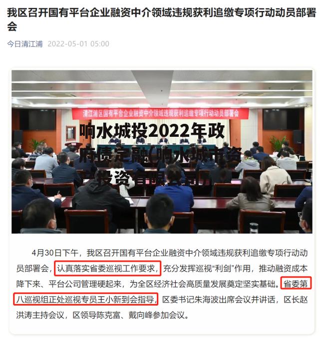 响水城投2022年政府债定融(响水城市资产投资有限公司)