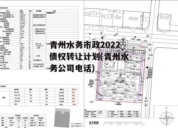 青州水务市政2022债权转让计划(青州水务公司电话)